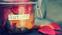 pic for Autumn In Jar 